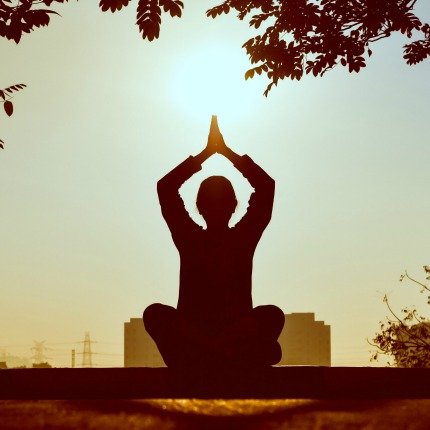 The Meditation Experience